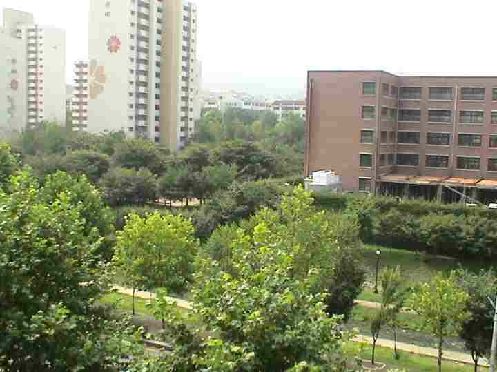 �ܺ����� - ��