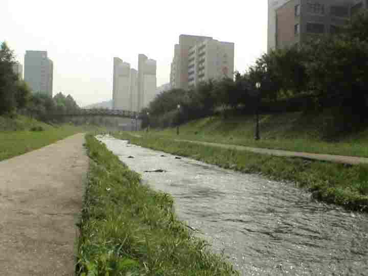 �����ֺ��ü� - �ް�/����