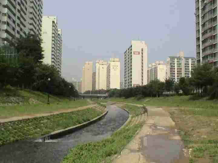 �������� - ��������