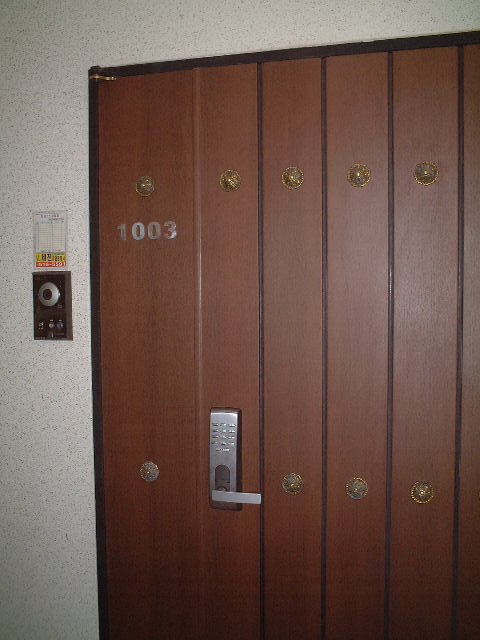 ǳ - 