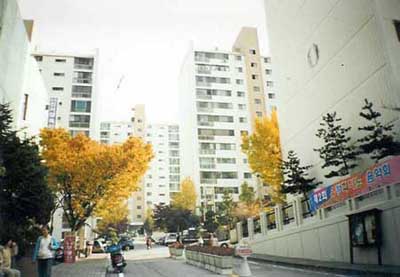 �������� - ������������