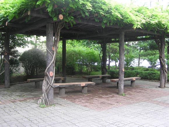 �������ü� - ���ǽü�(�ްԽǵ�)