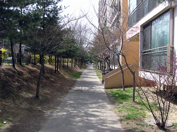 �������ü� - ��å��(����)