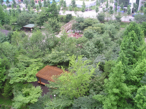 �������� - ������������