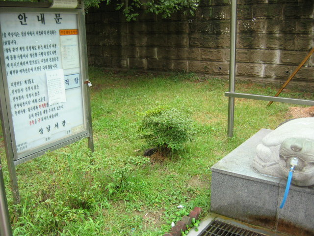 �������� - ������������