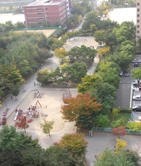 �������ü� - ������