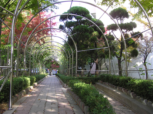 �������ü� - ��å��(����)