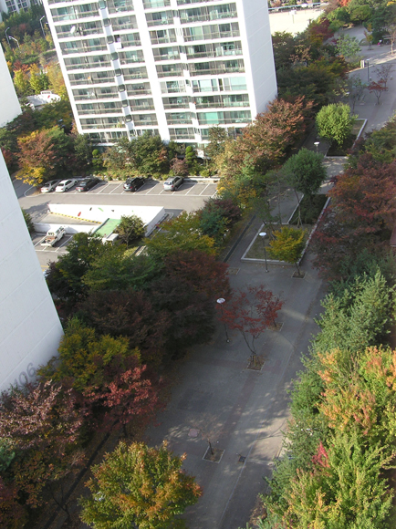 �������� - �����Ա�����