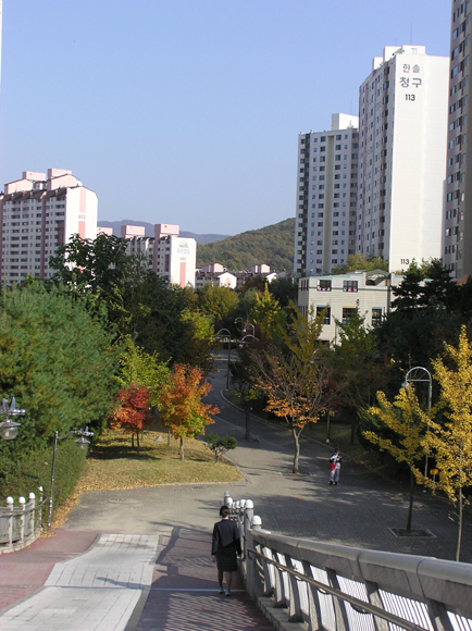 �������� - ��������