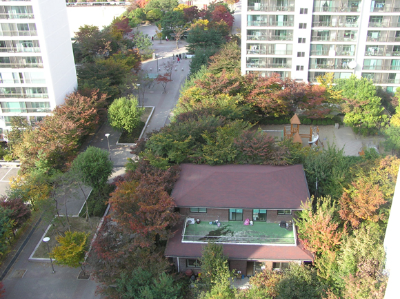 �������� - ������������