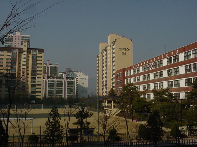 �����ֺ��ü� - �����ü�