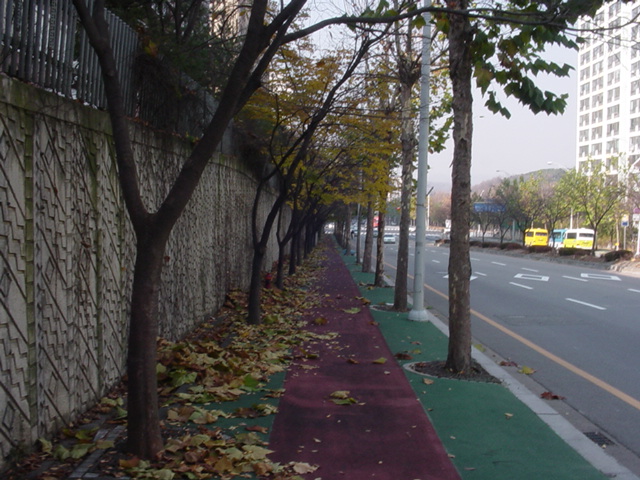 �����ֺ��ü� - �ֺ�����