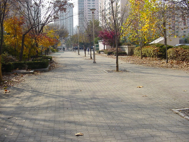 �������ü� - ��å��(����)