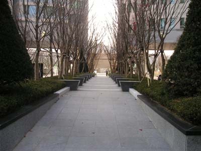 �������ü� - ��å��(����)