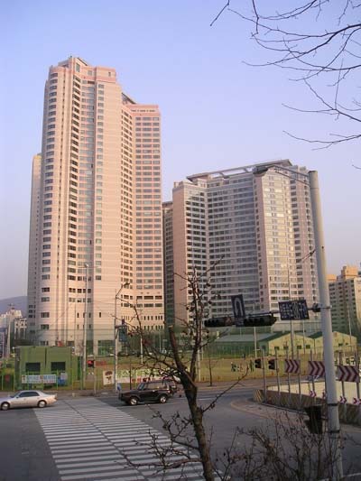 �������� - ��������