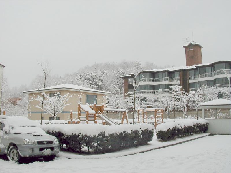 �������ü� - ������