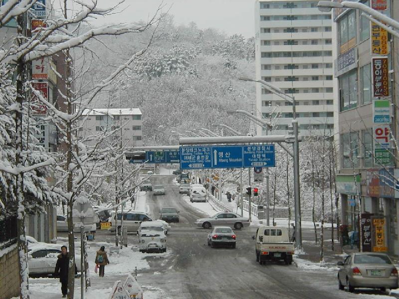 �����ֺ��ü� - �ֺ�����