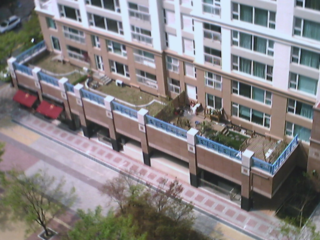 ��ȹ/���� - ������