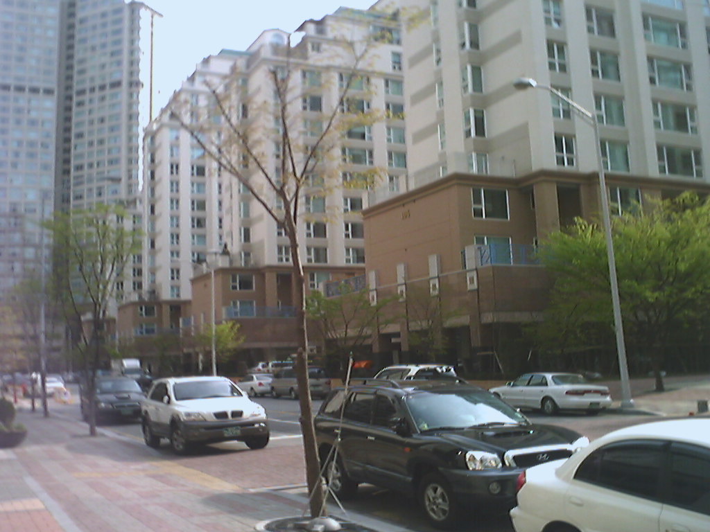 �������� - ��������