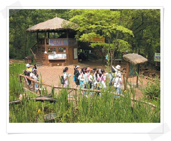 �����ֺ��ü� - �ް�/����