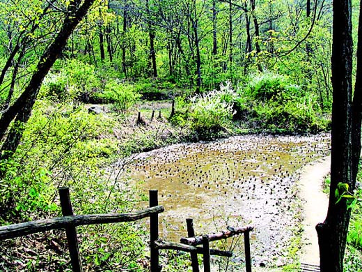 �����ֺ��ü� - �ް�/����