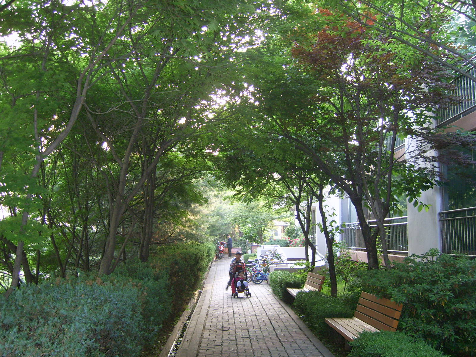 �������ü� - ��å��(����)