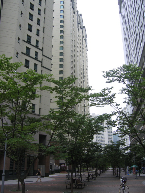 �������� - ������������