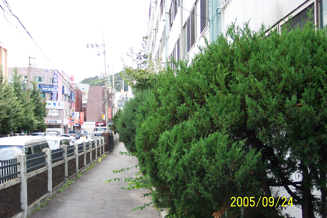 �������� - ������������