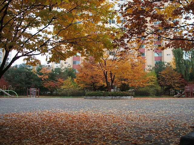 �������ü� - ��å��(����)