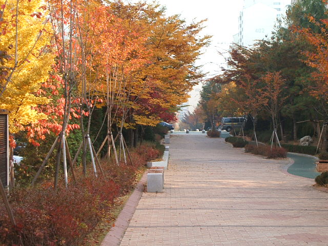 �������ü� - ��å��(����)