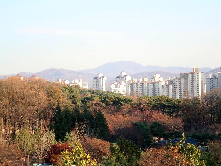 �ܺ����� - ��