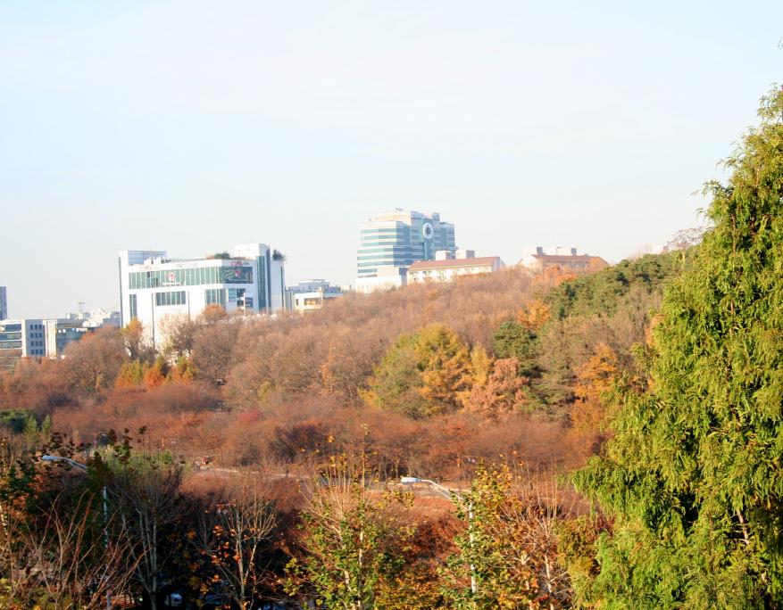 �ܺ����� - ��