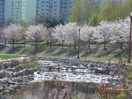 �����ֺ��ü� - �ް�/����