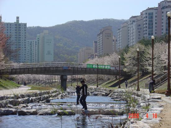 �������� - ��������