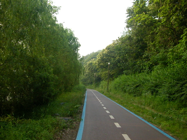 �����ֺ��ü� - �ֺ�����