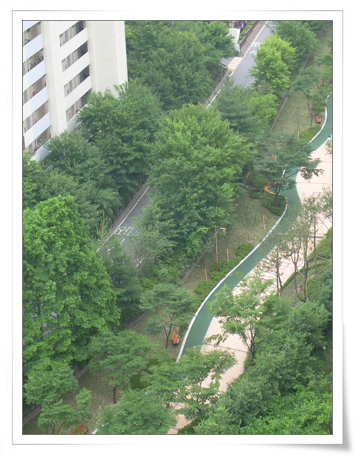 �ܺ����� - ��