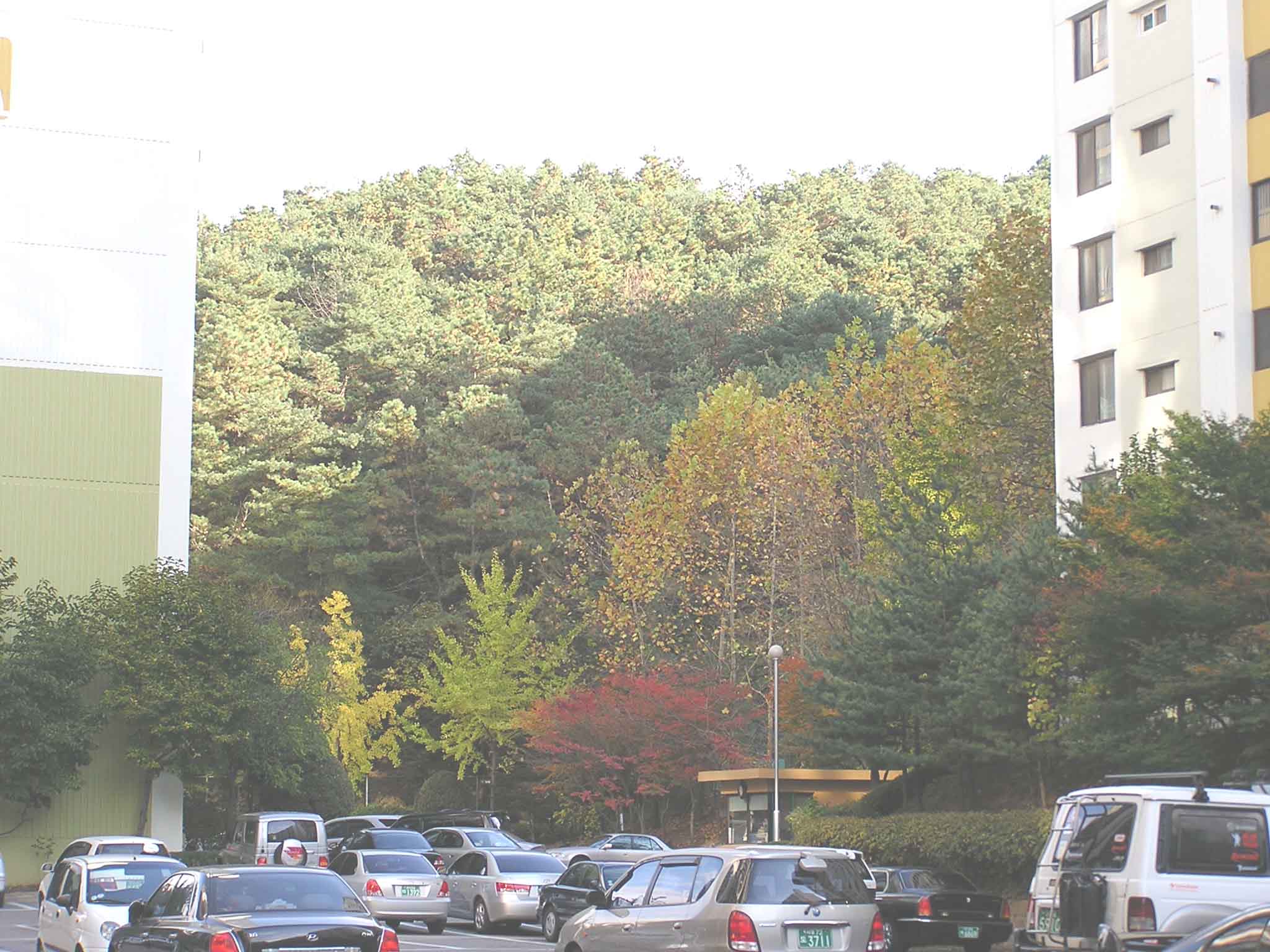 �������� - ������������