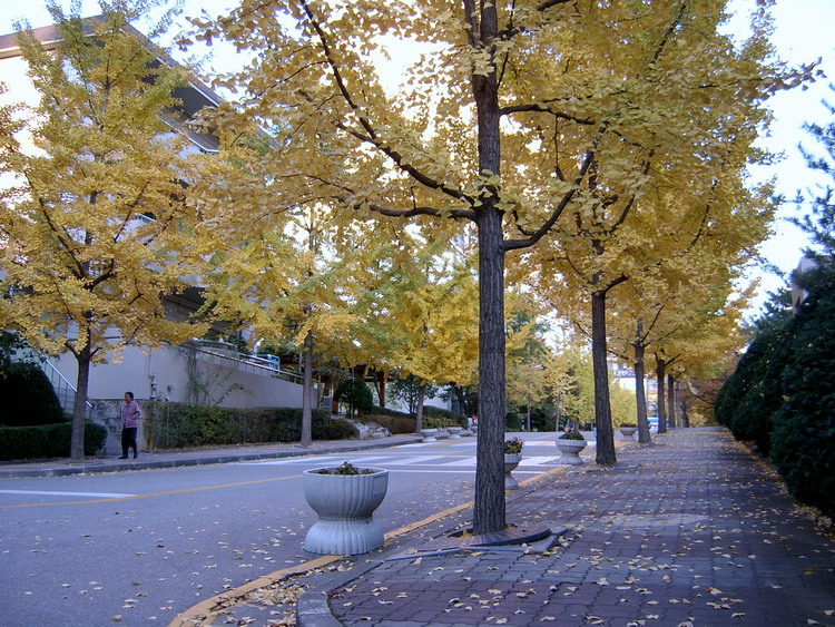 �����ֺ��ü� - �ް�/����