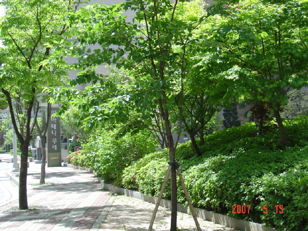 �������� - �����Ա�����