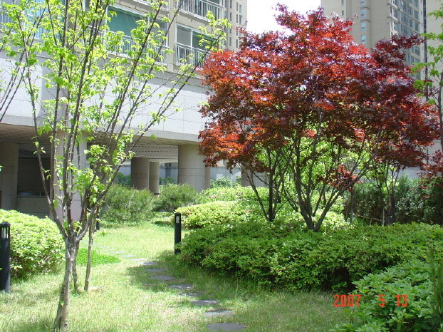 �������ü� - ����ü�