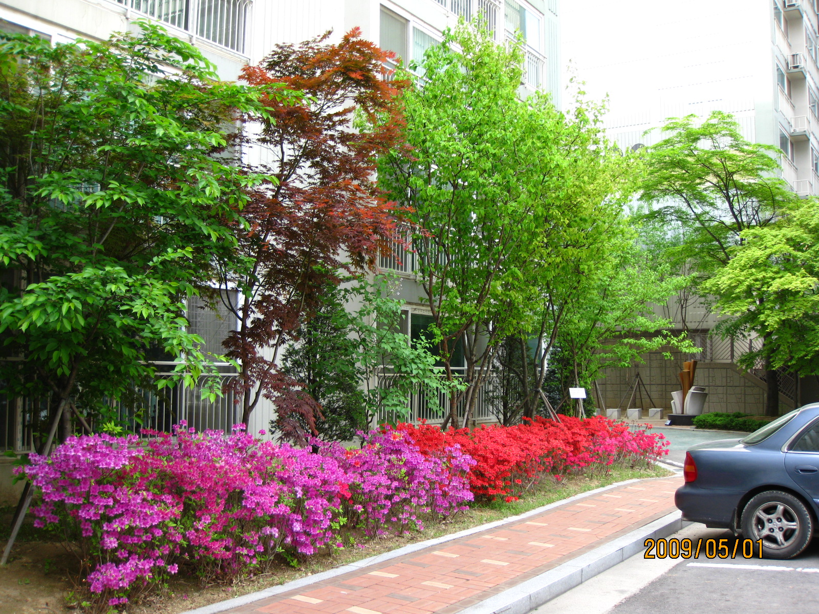 �������� - ������������