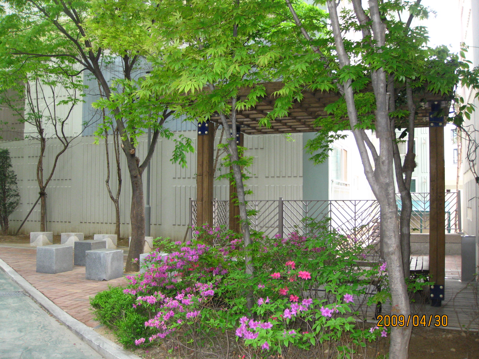 �������ü� - ���ǽü�(�ްԽǵ�)