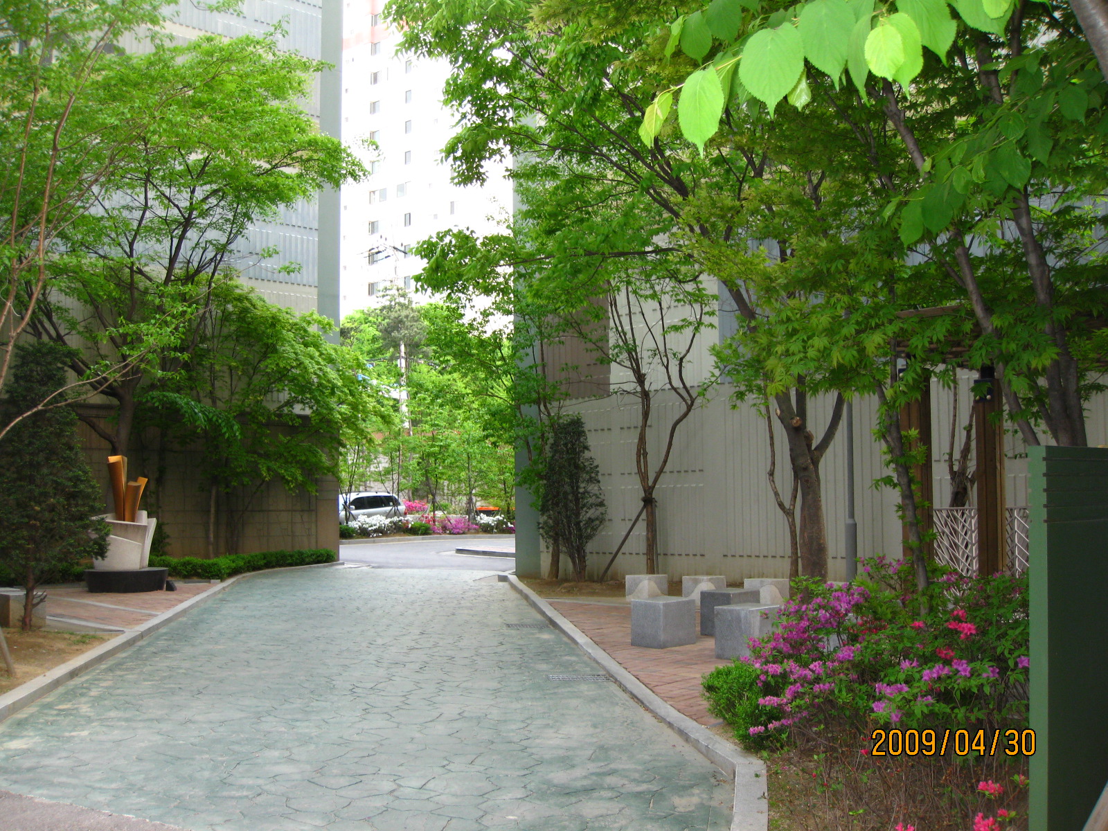 �������ü� - ��å��(����)