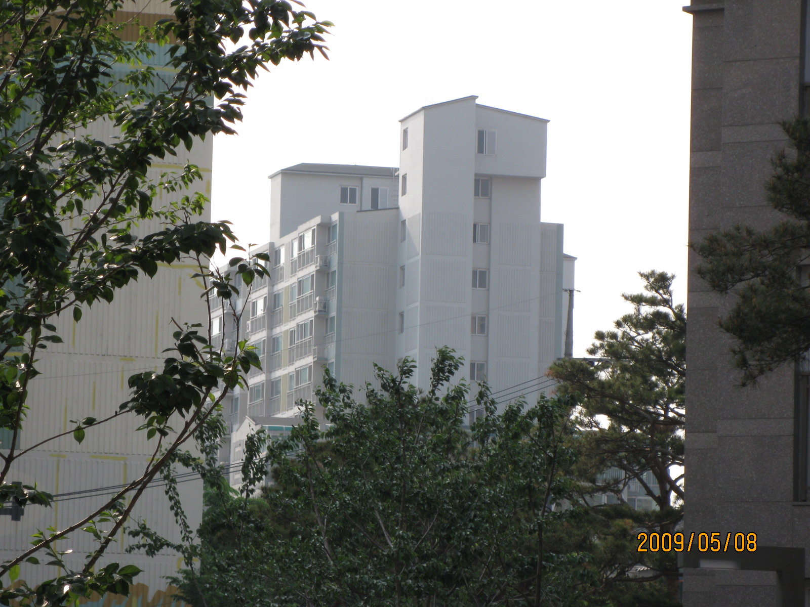 �������� - ��������