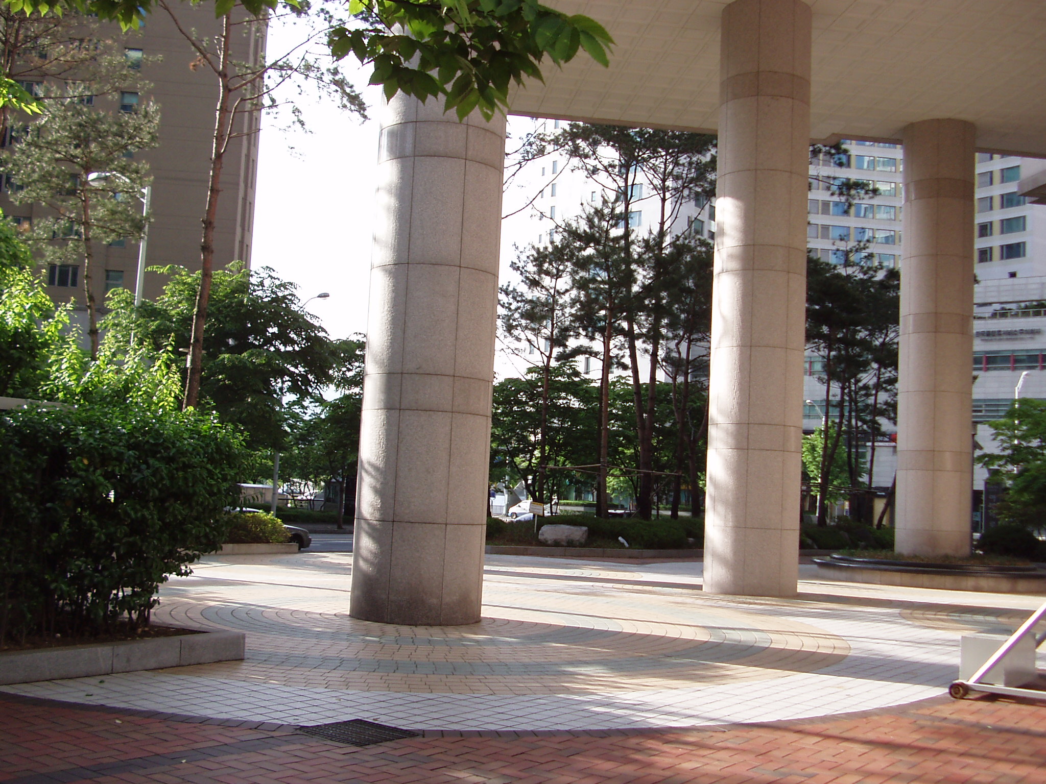 �������� - �����Ա�����