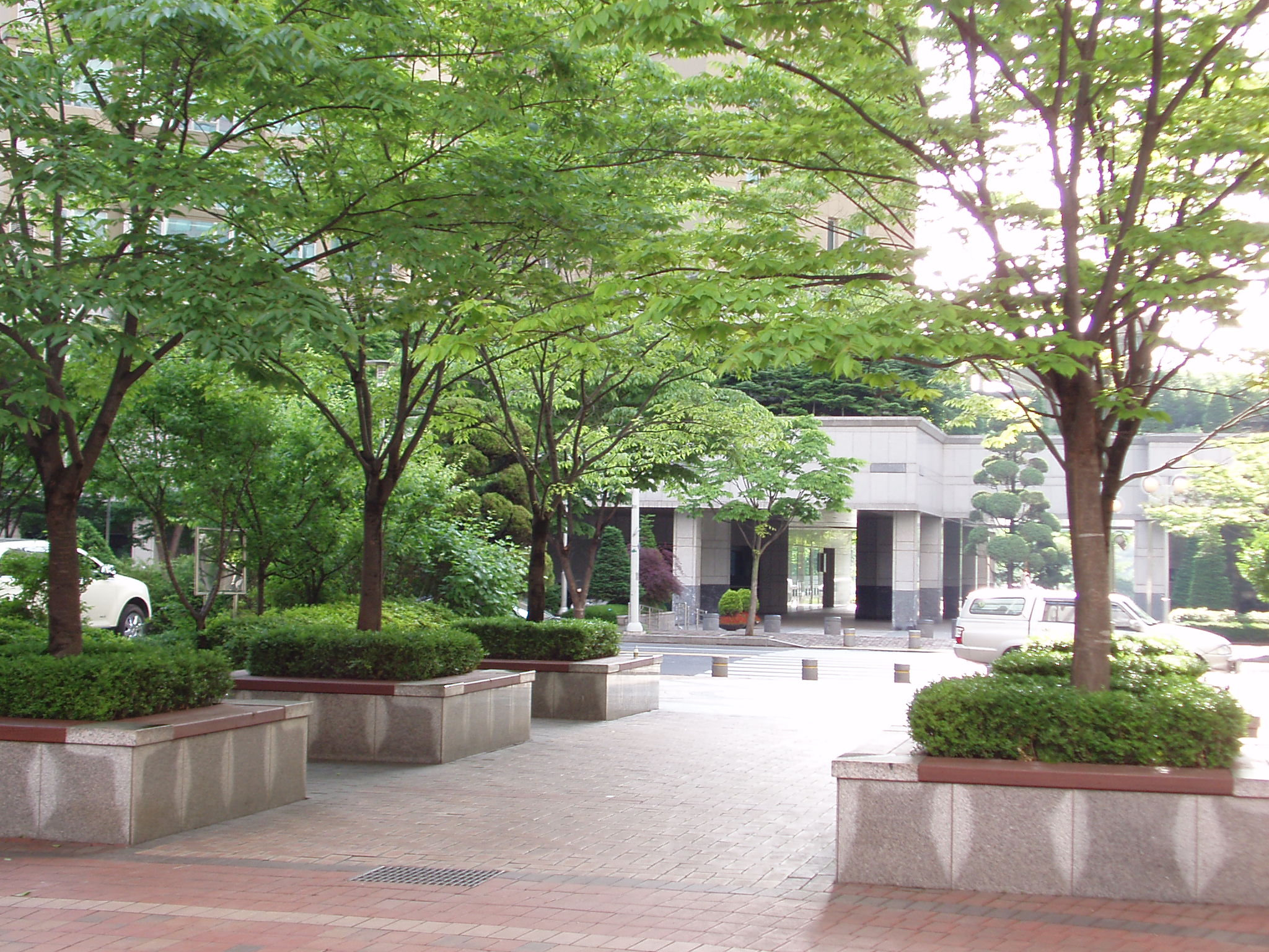 �������� - �����Ա�����