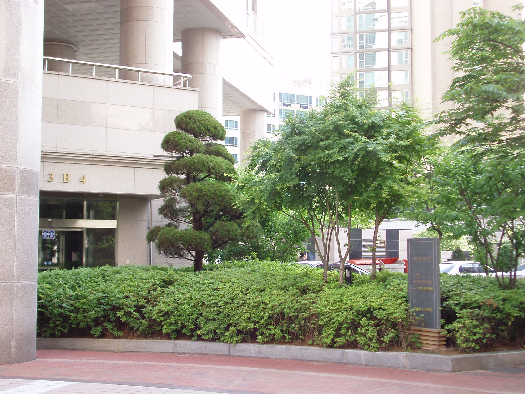 �������� - �����Ա�����