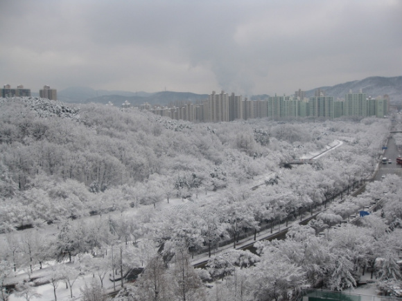 �ܺ����� - ��